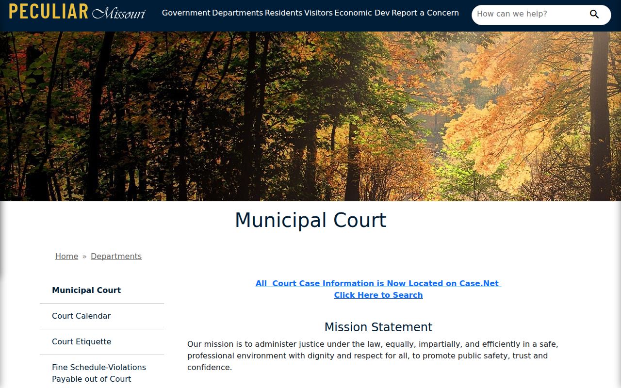 Peculiar municipal court docket search and court record access